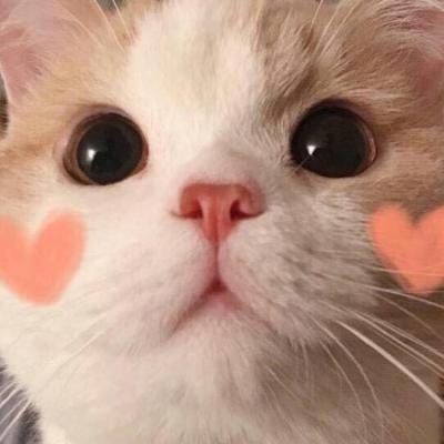 Hendra Maxwin avatar