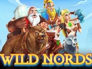 Wild Nords game thumbnail
